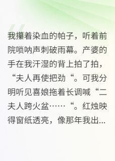生产那日夫君迎了外室做平妻小说全章节目录阅读BY宁晨希完结版阅读