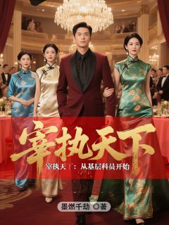 主角苏宸林清寒钱伟小说完整版最新章节-宰执天下：从基层科员开始免费阅读全文