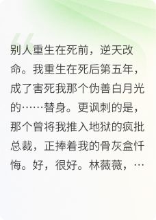 快手林薇薇厉司爵苏晚主角的小说全本章节大结局