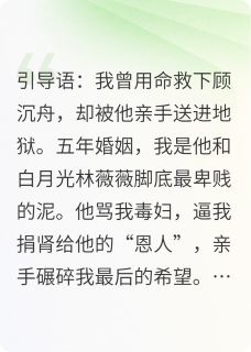 沈念顾沉舟主角抖音小说我用我的肾救了他的“白月光”在线阅读