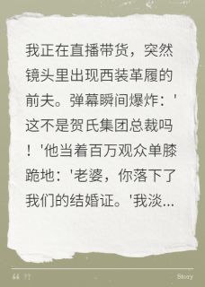贺临舟林晚晴是哪部小说的主角 贺临舟林晚晴全文阅读-欧迈阅读网