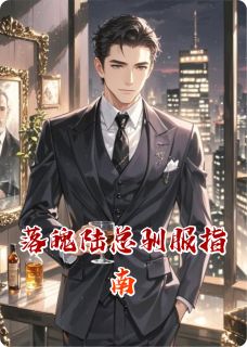 落魄陆总驯服指南陆景枭安宁无广告在线阅读