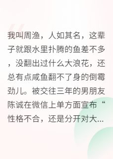 王德发小渔小说最后结局 王德发小渔完结版免费阅读-欧迈阅读网