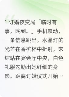 免费试读主角宋绾顾景宸陆沉小说