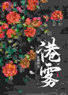 港雾小说好看吗 林疏棠黎砚声最后结局如何