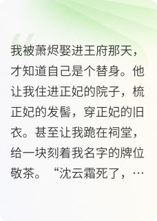 【替身王妃:活人牌位】小说在线阅读-替身王妃:活人牌位免费版目录阅读全文