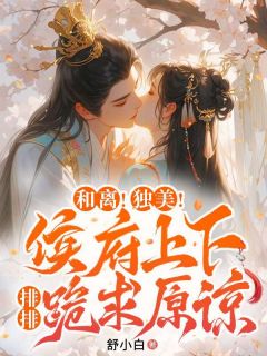 和离!独美!侯府上下排排跪求原谅快手热推沈婉辞周子昂免费阅读