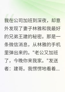 (热推新书)妻子和我兄弟的秘密被我录下了林雅王建赵敏无弹窗阅读