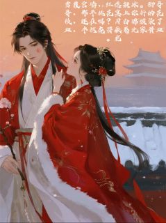 朱墙雪,故人心虎符惊鸿桃花小说全文阅读