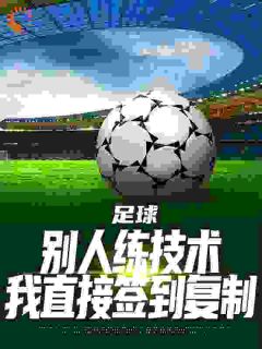 叶豪钱大海小说足球：别人练技术我直接签到复制​全文阅读