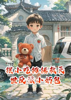 抖音小说摆小吃摊拯救灭世反派小奶包司寒司浩南小寒全文txt