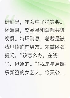 年会特等奖是前男友(陆嘉宋微)小说全章节目录阅读