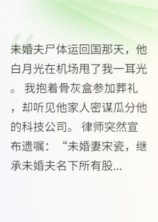 全章节小说未婚夫葬礼上，我收到了他的短信瑞猊最新阅读