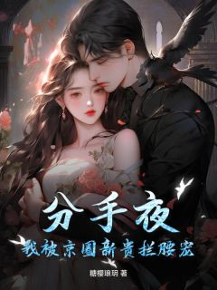 抖音爆款分手夜,我被京圈新贵拦腰宠!完整小说(全文阅读)