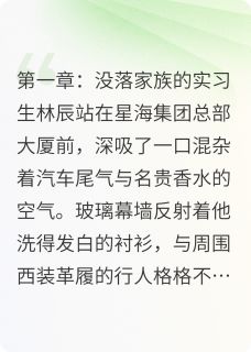 职场星途:从实习生到商业巨擘林辰凯伦大结局在线阅读