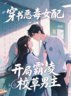 孟紫嫣沈慕白是哪部小说的主角 孟紫嫣沈慕白全文阅读