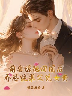 苏禾乔南州全文最新章节正版小说免费阅读