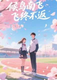 候鸟南飞终不返知乎后续免费试读