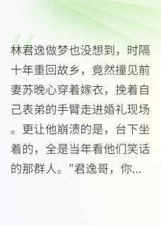 精彩小说林君逸苏晚心前妻披婚纱，我却后悔得想死全文目录畅读