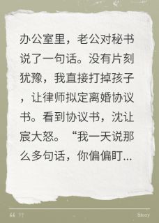 老公对秘书说了一句话,我离婚了小说沈让宸苏晓莹免费阅读