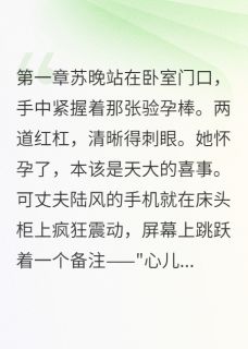 主角是苏晚陆风的小三上门时我刚验出怀孕抖音热门小说