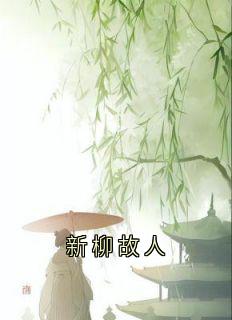 赵明窈卫澄姜少瑜小说结局-欧迈阅读网