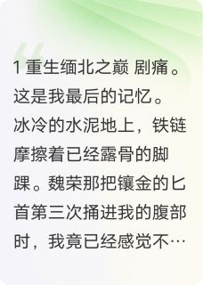 【热文】重生之血色缅北主角王琛林沐阳小说全集免费阅读