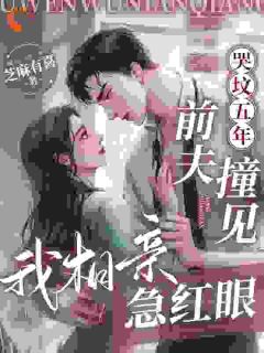 哭坟五年,前夫撞见我相亲急红眼小说在线阅读,主角沈妤微霍璟年精彩段落最新篇