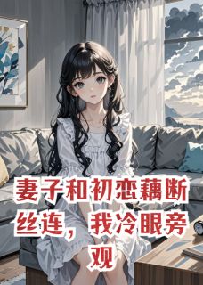 沈青瓷顾淮萧烬全集小说_妻子和初恋藕断丝连，我冷眼旁观完结版阅读