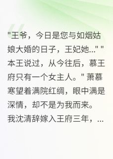 弃王位追妻，慕王疯批了最新章节免费阅读by软绵无力的尤尼萨无广告小说