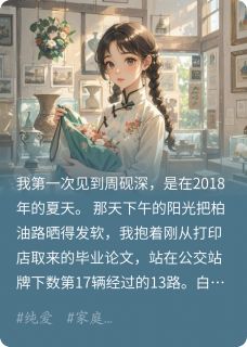 夏日长街周砚深念安无广告在线阅读