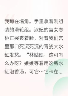 主角是苏云袖春桃琴轸的小说叫什么全后宫都在看我搞发明免费全文阅读-欧迈阅读网