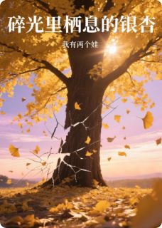 碎光里栖息的银杏(许青梧顾屿)精彩小说目录阅读