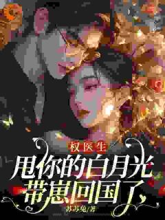 分手后相遇,霸总他芳心早已暗许姜媃权宴免费全章节目录阅读