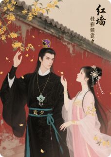 【热文】红墙桂影锁霆夕主角墨霆炎桂花小说全集免费阅读
