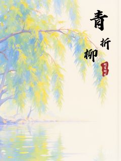 无无宋言七苏鸢小说青折柳全文阅读