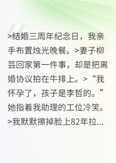 柳芸李哲秦枫全本章节在线阅读大结局-欧迈阅读网
