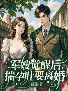 沈清落陆清北(原文完整)军嫂觉醒后,揣孕肚要离婚!无弹窗免费阅读