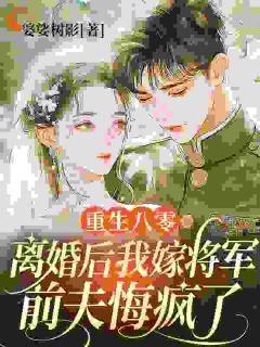 重生八零:离婚后我嫁将军,前夫悔疯了最新章节免费阅读by婆娑树影无广告小说