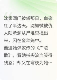 他替我挡刀时，我才知他爱疯了小说沈知微陆承渊谢景行免费阅读-欧迈阅读网
