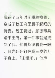 裴圭里写的小说王爷，你教的功法，我还给你了顾凛陆昭宋惜禾全文阅读