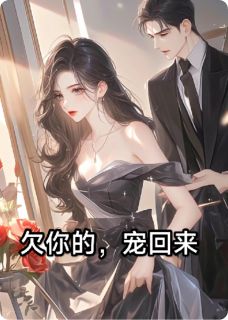 熬夜也要看完的欠你的，宠回来小说推荐