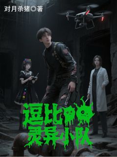 逗比灵异小队by对月杀猪(苏小棠楚昭昭)未删节免费阅读