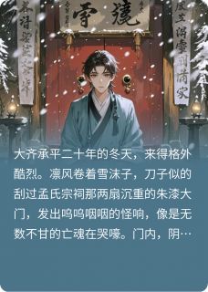 孟凌云庆王苏清越是哪本小说主角 青云之隐免费全章节阅读