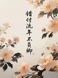 错负流年不负卿在线阅读 云溪林城免费小说精彩章节