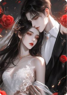 全章节小说微至尘埃，爱不再来小甜礼最新阅读