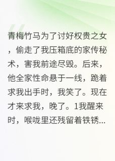 他为讨好权贵之女,偷我家传秘书小说百度云完整章节列表免费阅读