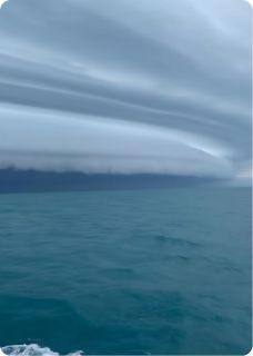 穿进虐文当女主，荡平一群二百五小说白雨陆琛沈烽免费阅读