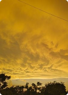 沈知意萧景珩小说大结局在哪看-深宫杏花暖完整版免费阅读-欧迈阅读网