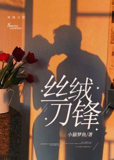 丝绒刀锋精彩章节-丝绒刀锋免费阅读全文-欧迈阅读网